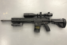 H&K417 D 16  DMR Custom