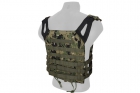 Plate Carrier JPC AOR2 S&T