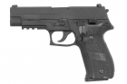 P226 KP01 KJ Works Gas