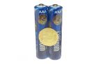 Pack of 2 AAA ASP Lithium batteries