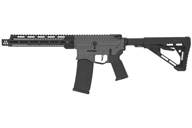 Replica R15 Mod1 long R&D Precision black/grey Zion Arms